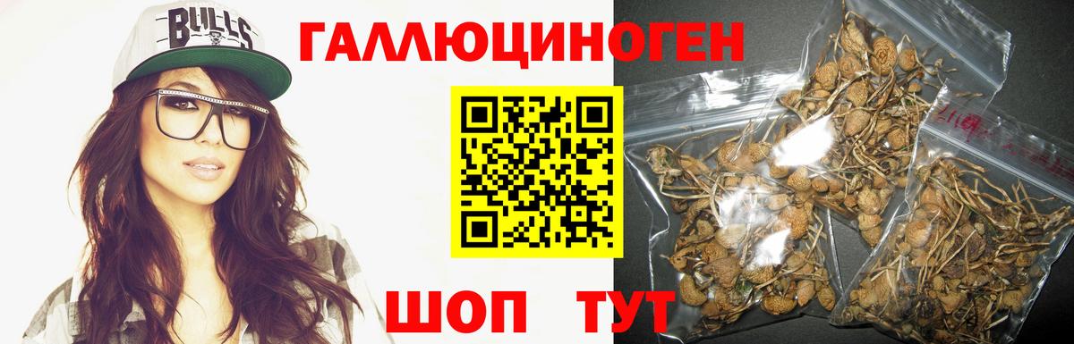 Галлюциногенные грибы MAGIC MUSHROOMS Санкт-Петербург