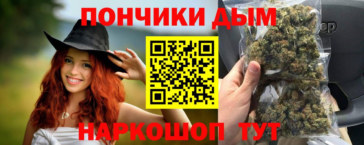 Шишки марихуана конопля Санкт-Петербург