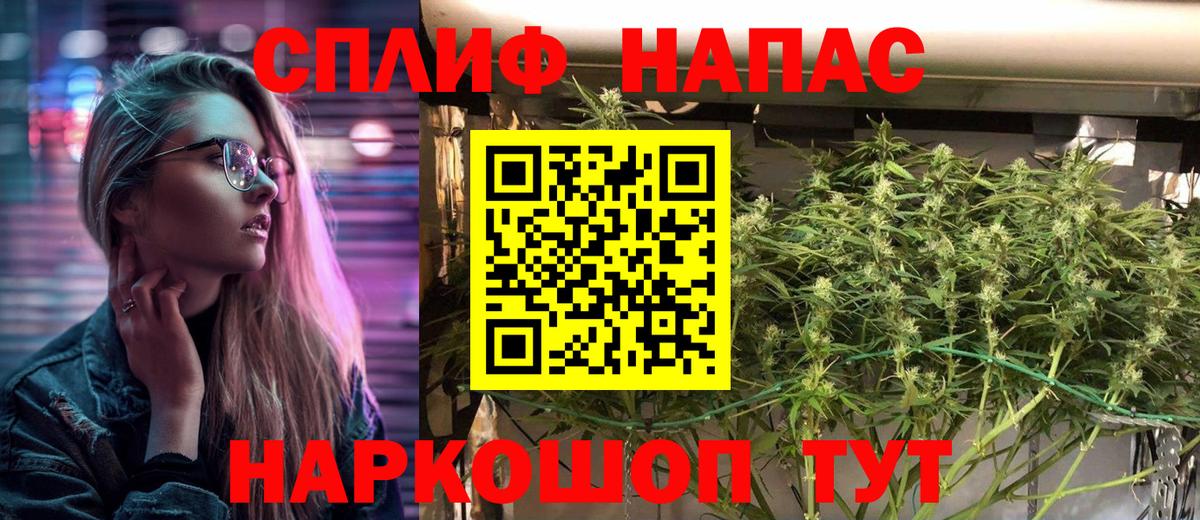Конопля планчик  Бошки Шишки THC 21%  Каннабис White Widow  Вход с VPN  Санкт-Петербург  Бошки Шишки Bruce Banner 